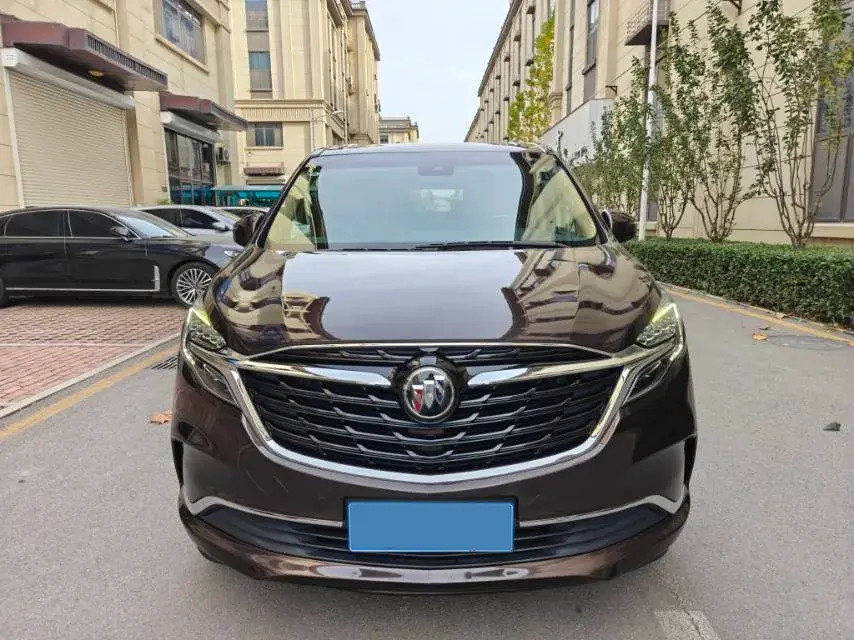 2020 BUICK GL8 thumbnail 2