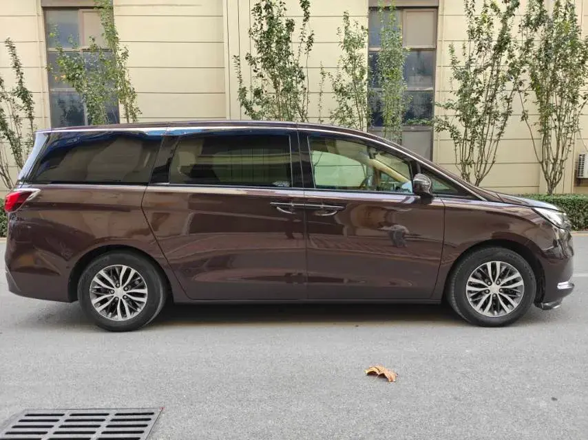 2020 BUICK GL8 thumbnail 3