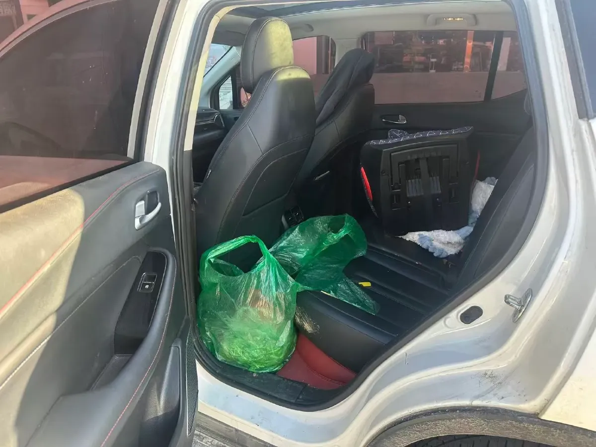 2020 GAC Trumpchi GS4 1.5T 169HP L4 6AT,autocango,china used car exporter,china ev exporter,chinese used car exporter,chinese used ev exporter