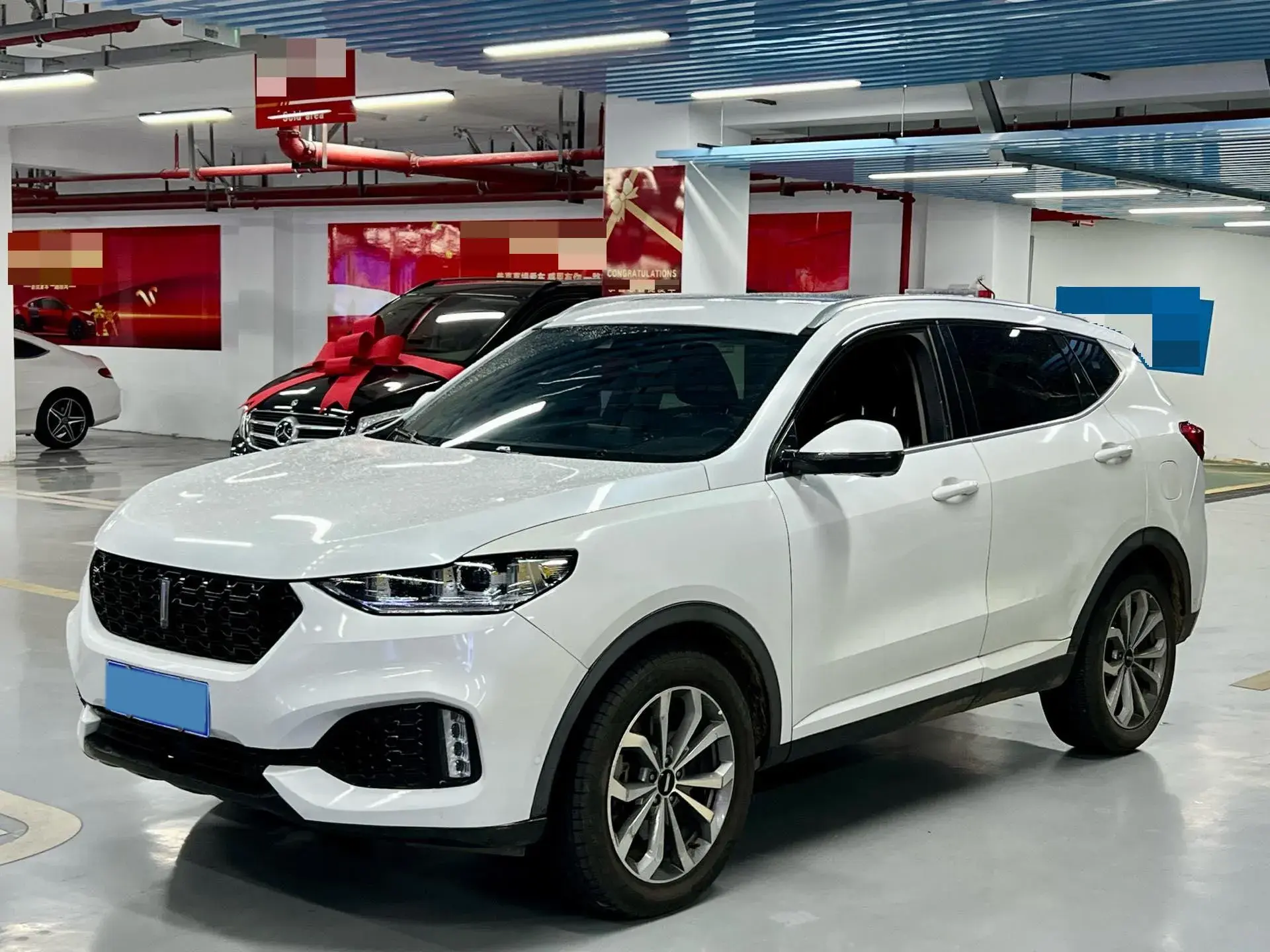 2018 WEY VV6 view 1