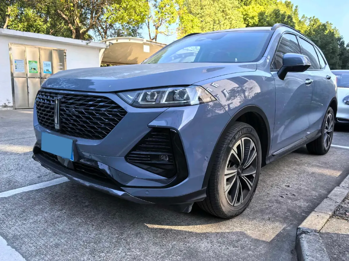 2022 WEY Latte DHT 1.5T 156HP L4 2DHT Hybrid,autocango,china used car exporter,china ev exporter,chinese used car exporter,chinese used ev exporter