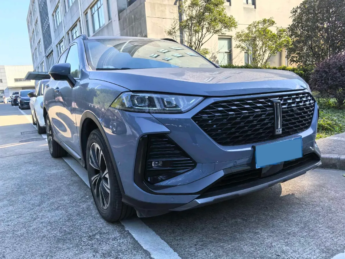 2022 WEY Latte DHT 1.5T 156HP L4 2DHT Hybrid,autocango,china used car exporter,china ev exporter,chinese used car exporter,chinese used ev exporter