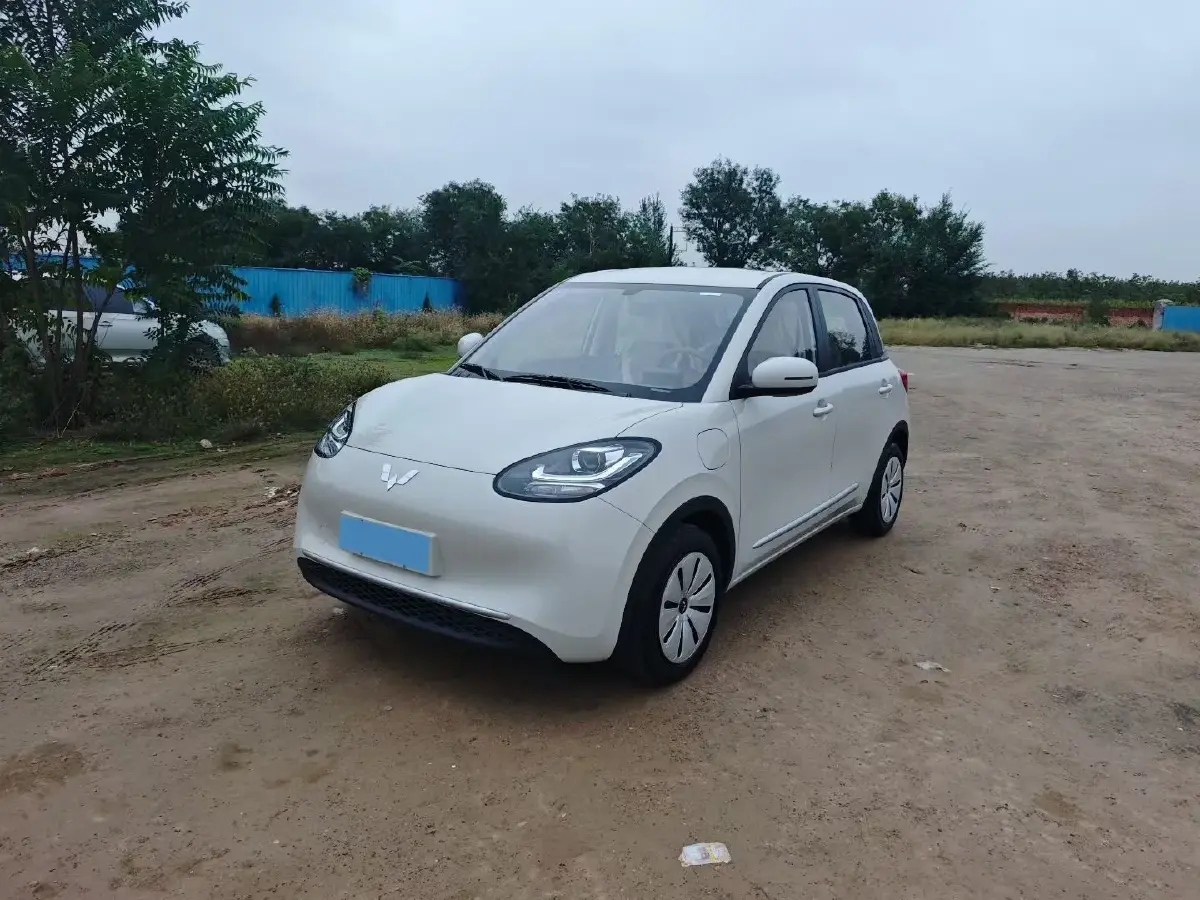 2025 WuLing BinGuo BEV