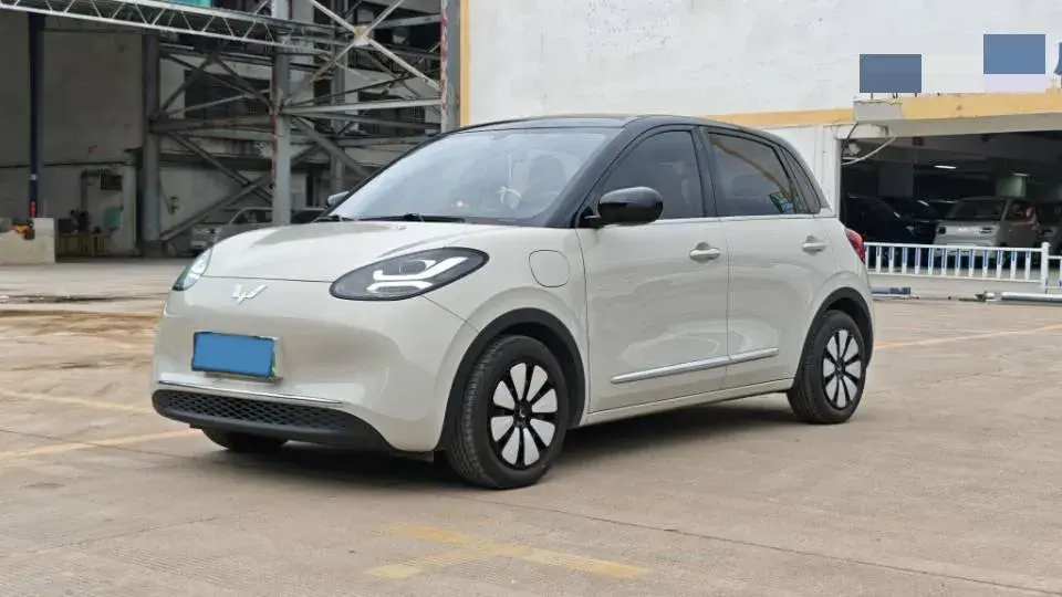 2025 WuLing BinGuo BEV