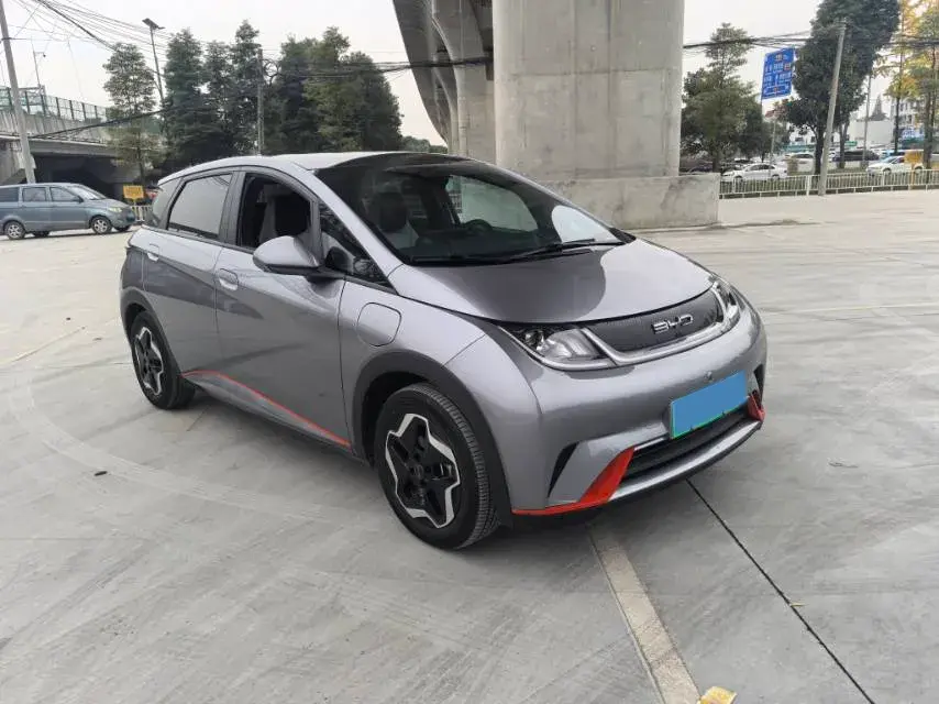 2021 BYD DOLPHIN thumbnail 3