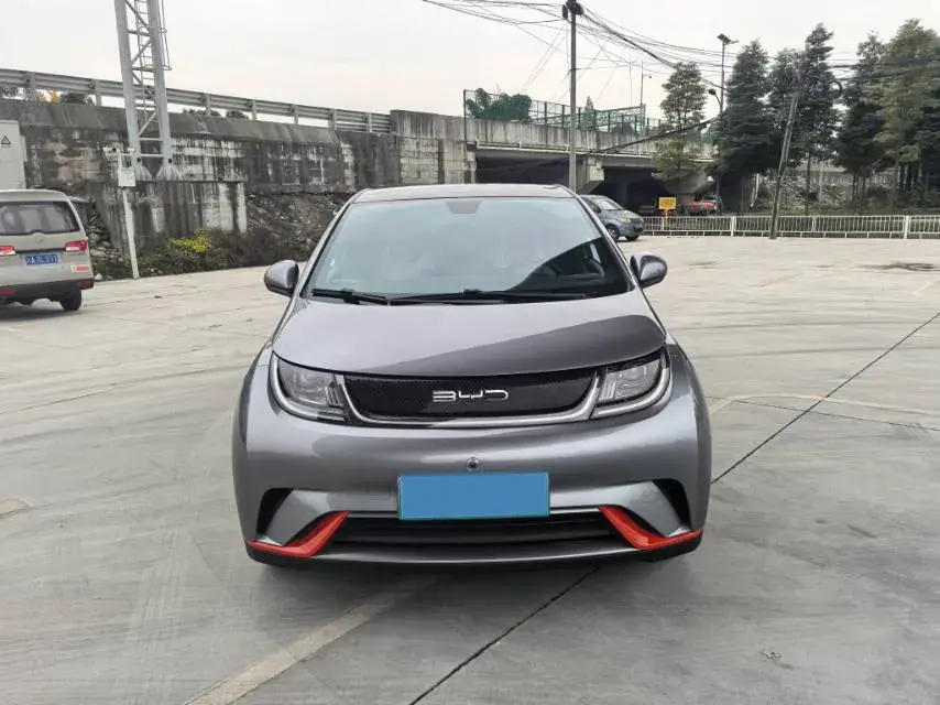 2021 BYD DOLPHIN thumbnail 2