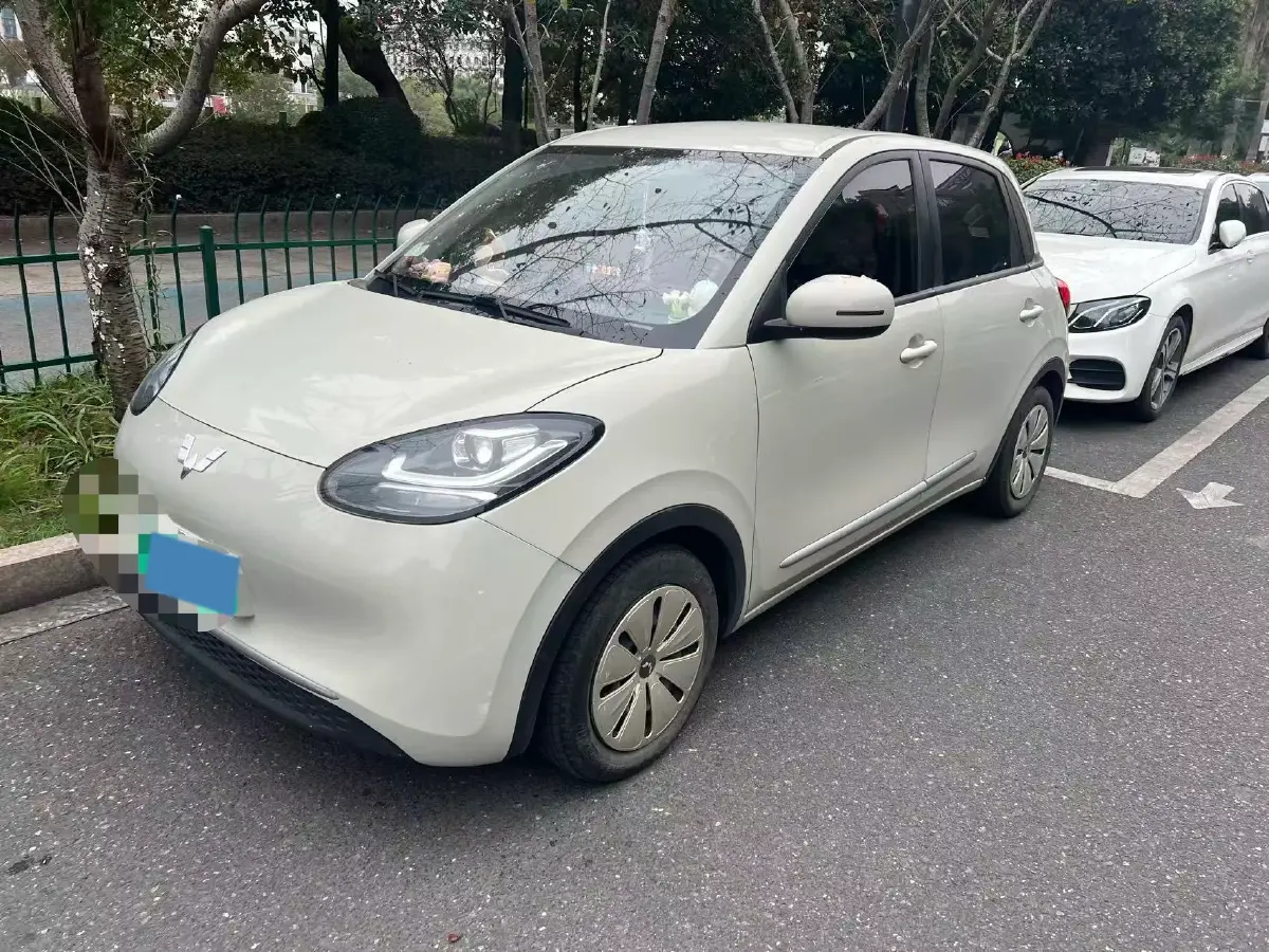 2023 WuLing BinGuo BEV 17.3KWH