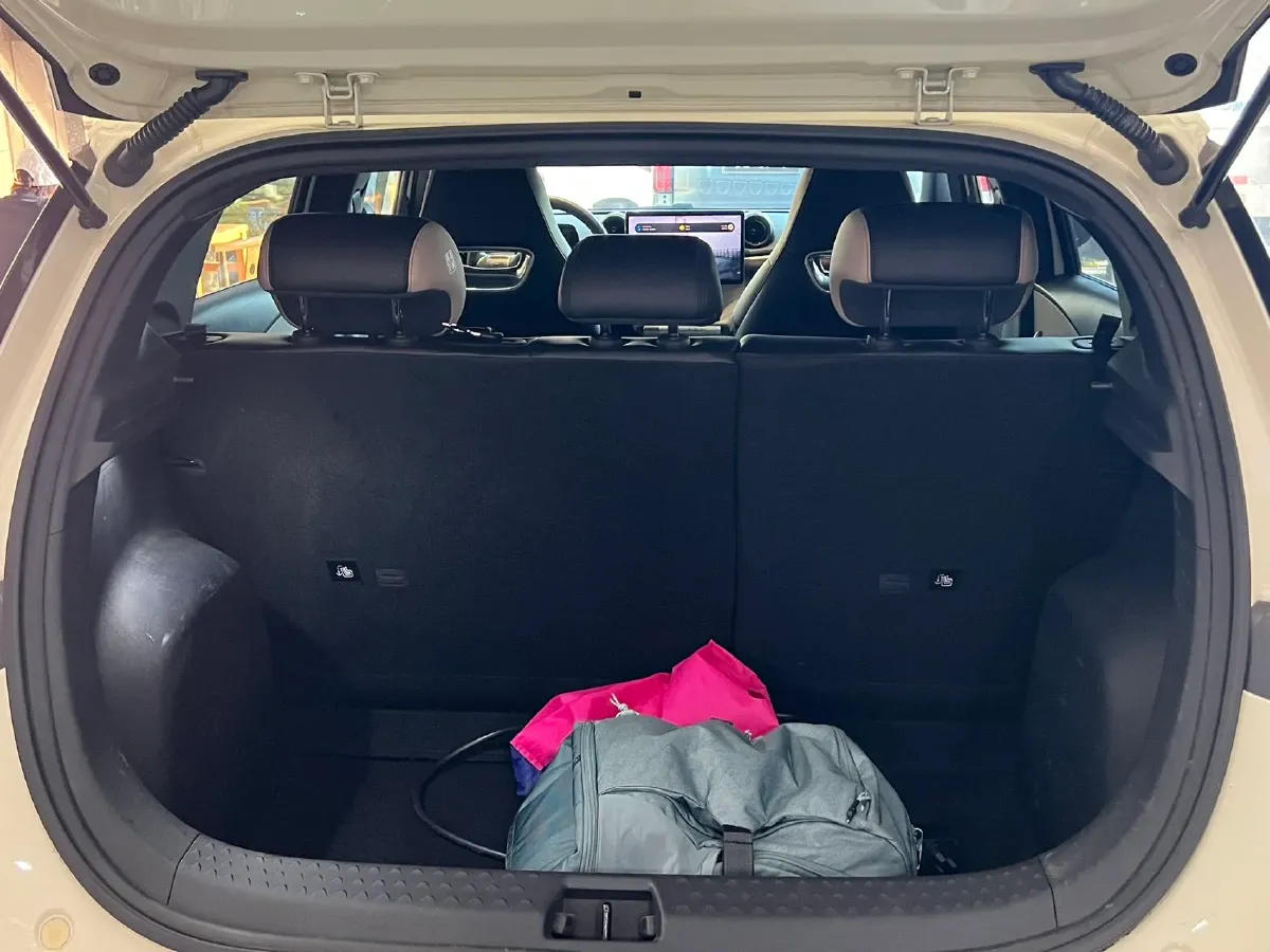 2023 BYD Dolphin BEV 44.928KWH,autocango,china used car exporter,china ev exporter,chinese used car exporter,chinese used ev exporter