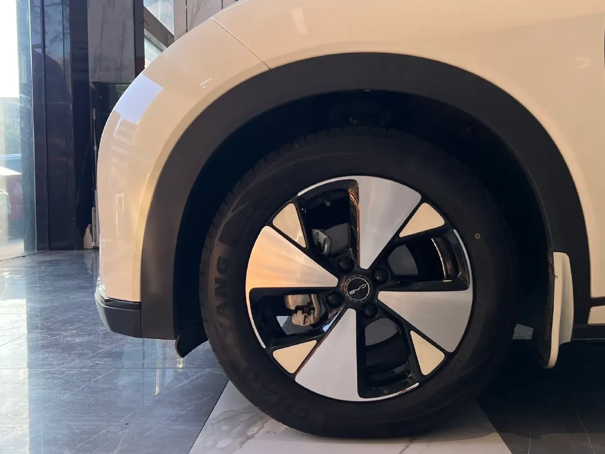 2023 BYD Dolphin BEV 44.928KWH,autocango,china used car exporter,china ev exporter,chinese used car exporter,chinese used ev exporter