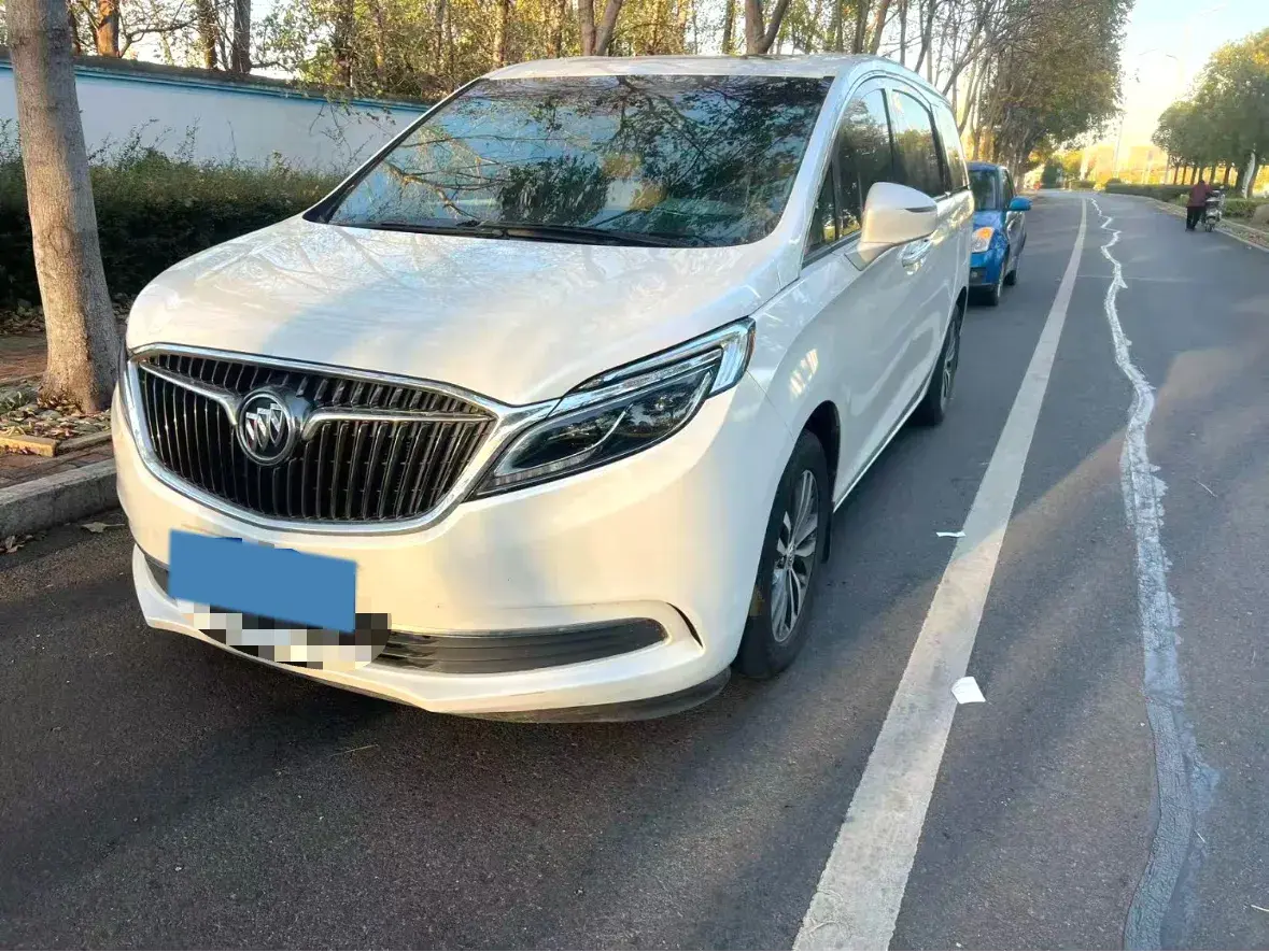 2018 BUICK GL8 view 1