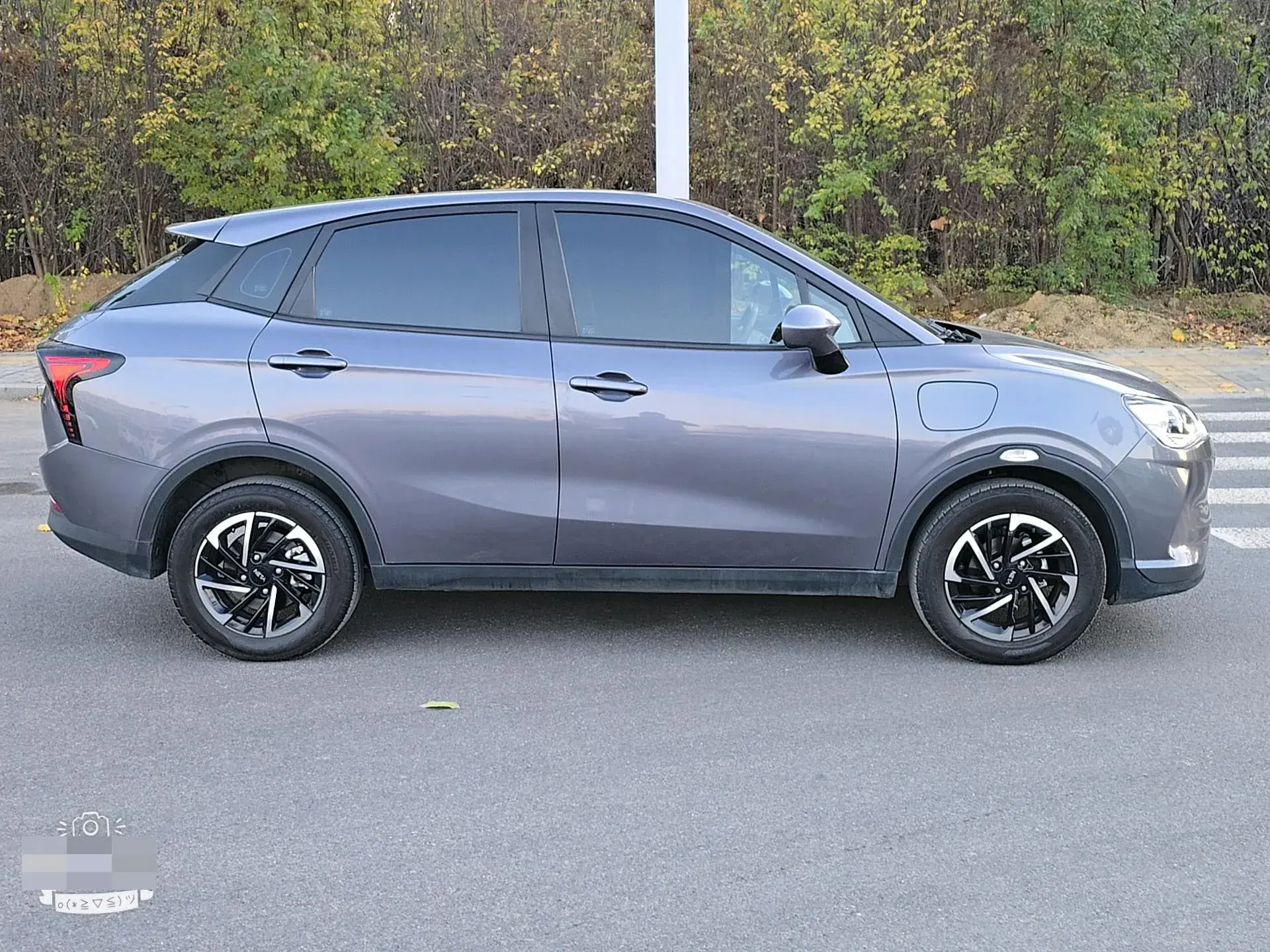 2021 NETA V thumbnail 4