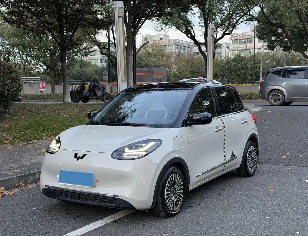 2024 WuLing BinGuo BEV 31.9KWH
