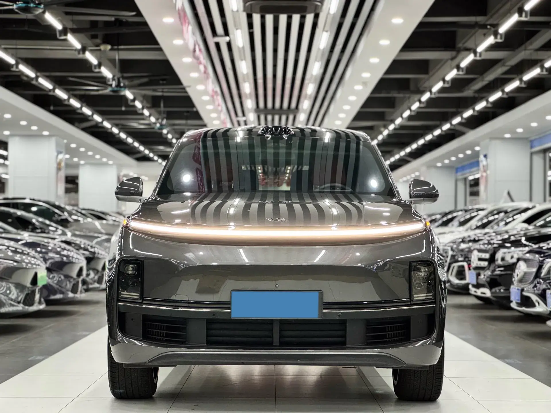 2022 LI L9 thumbnail 2