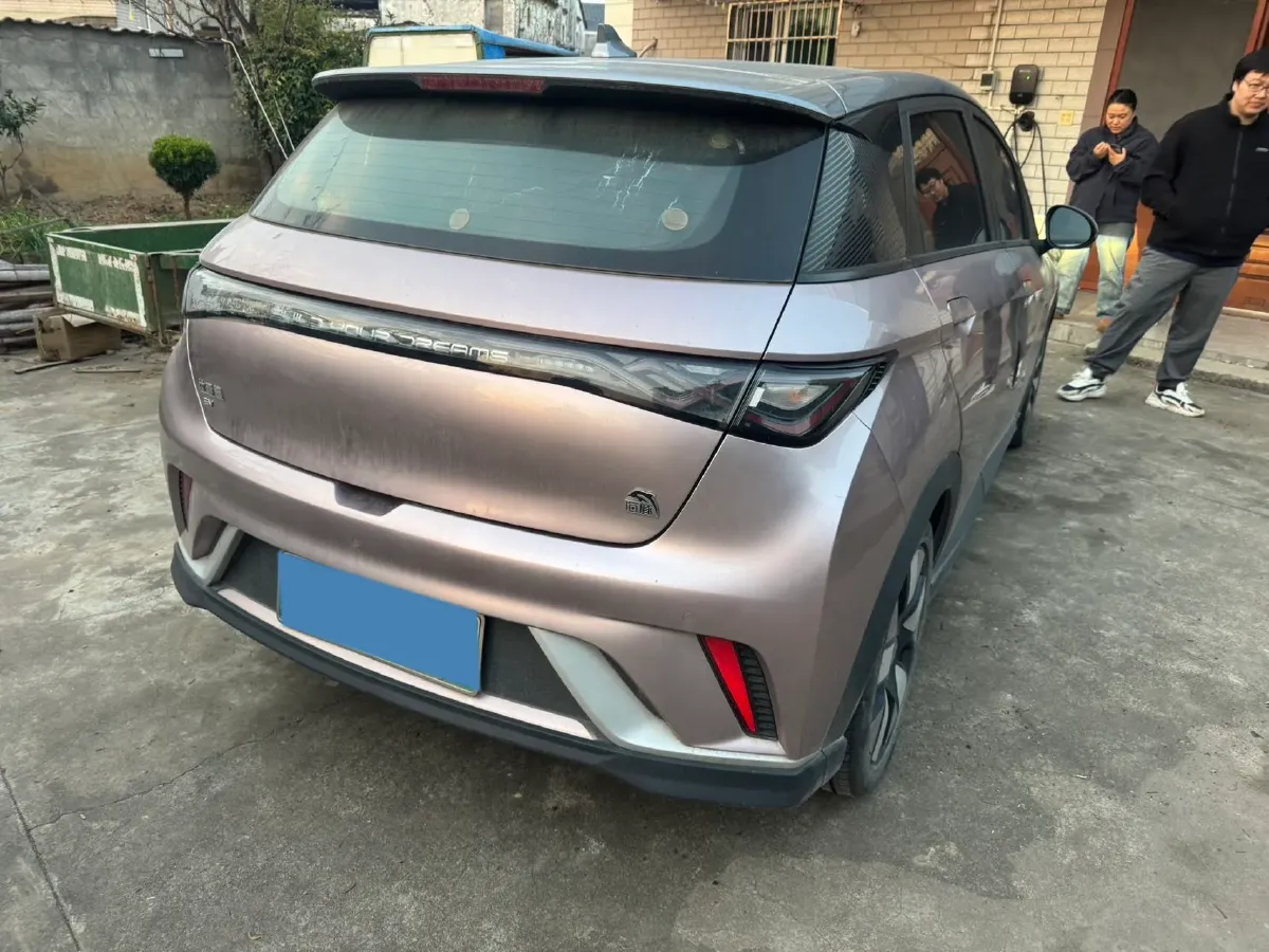 2023 BYD Dolphin BEV 44.928KWH,autocango,china used car exporter,china ev exporter,chinese used car exporter,chinese used ev exporter