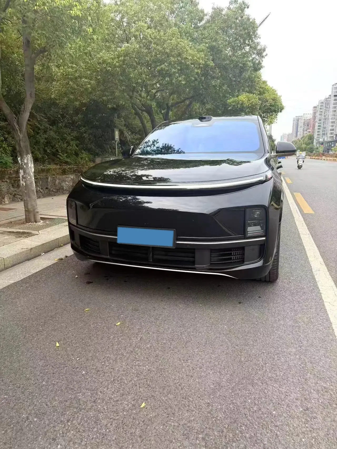 2025 LI L9 thumbnail 3