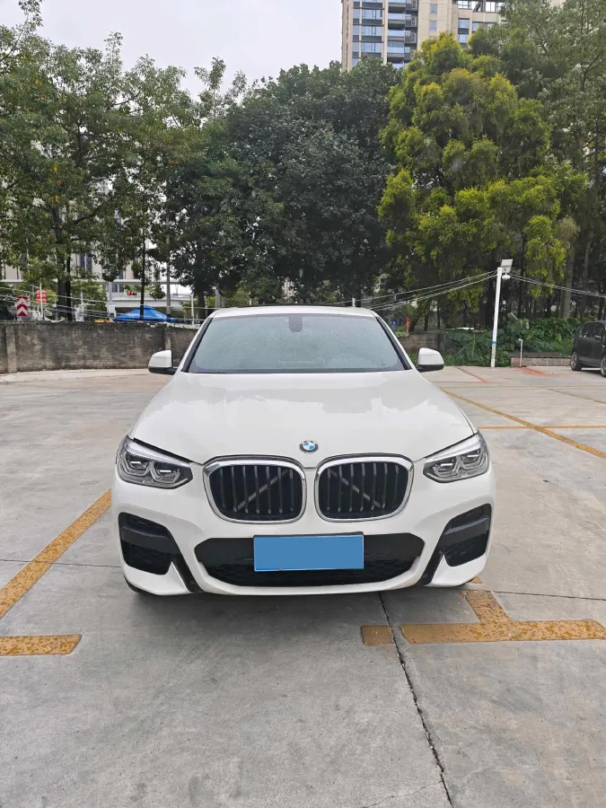 2019 BMW X4 2.0T 184HP L4 8AT,autocango,china used car exporter,china ev exporter,chinese used car exporter,chinese used ev exporter