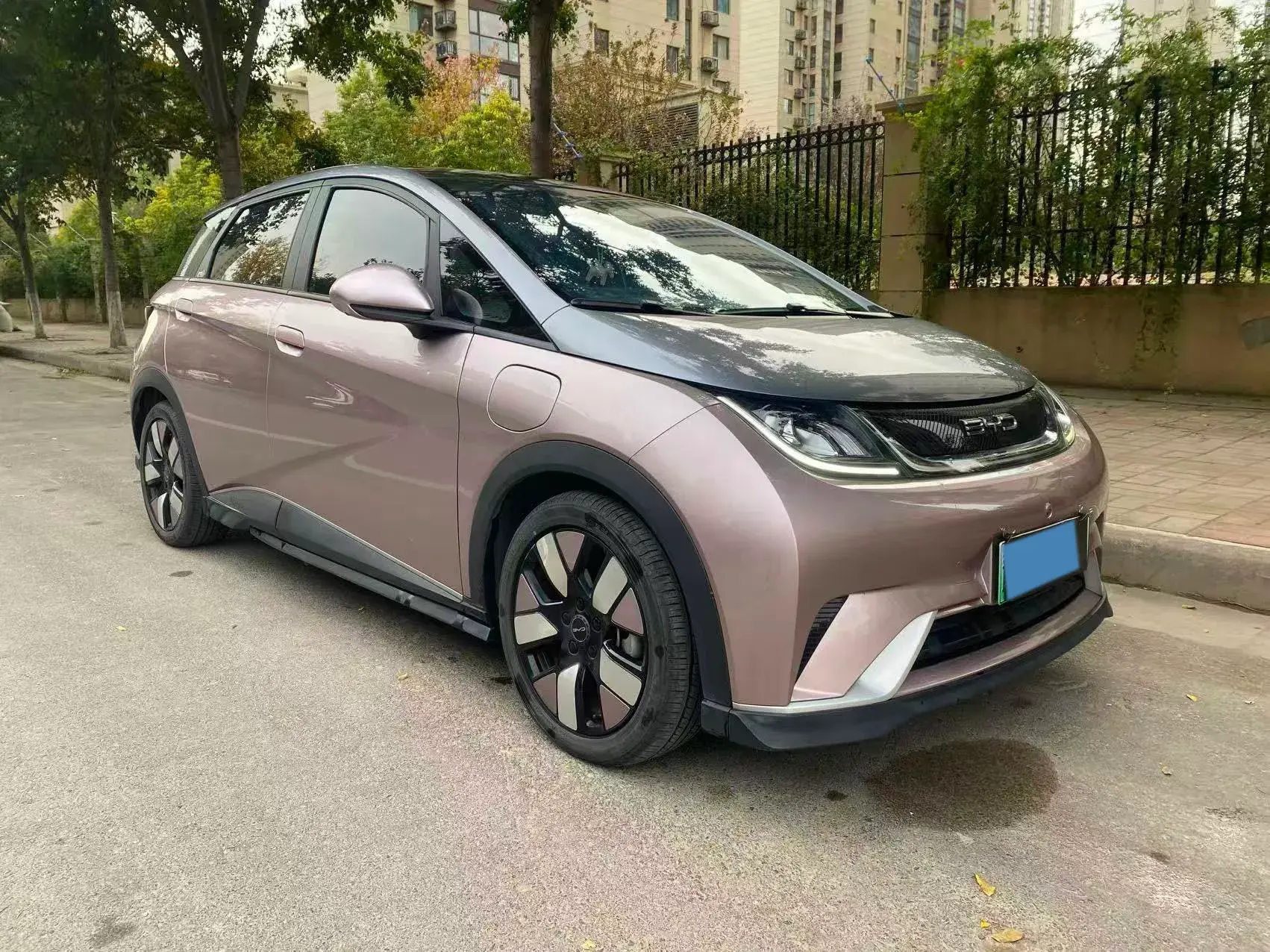 2021 BYD DOLPHIN thumbnail 3