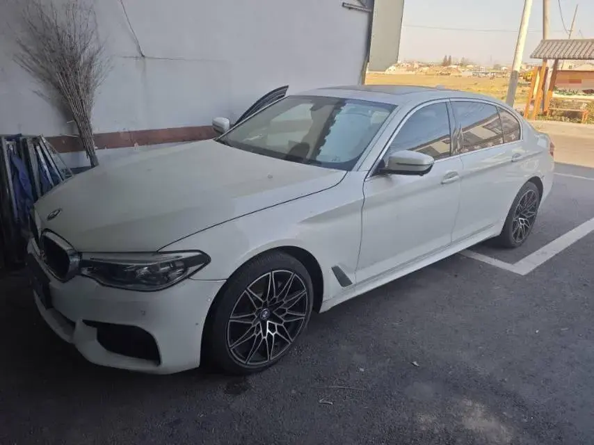 2020 BMW 5 Series 2.0T 252HP L4 8AT