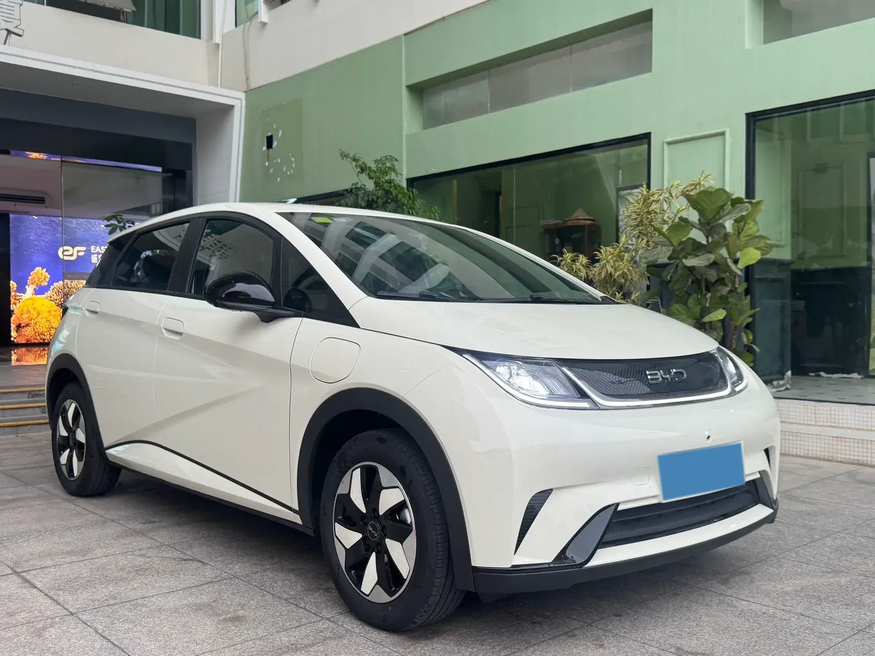 2025 BYD DOLPHIN thumbnail 3