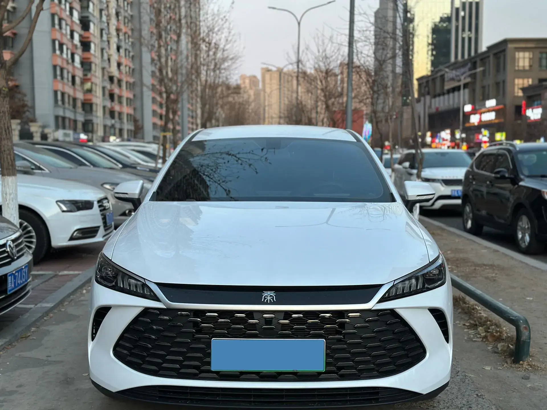 2025 BYD QIN thumbnail 2