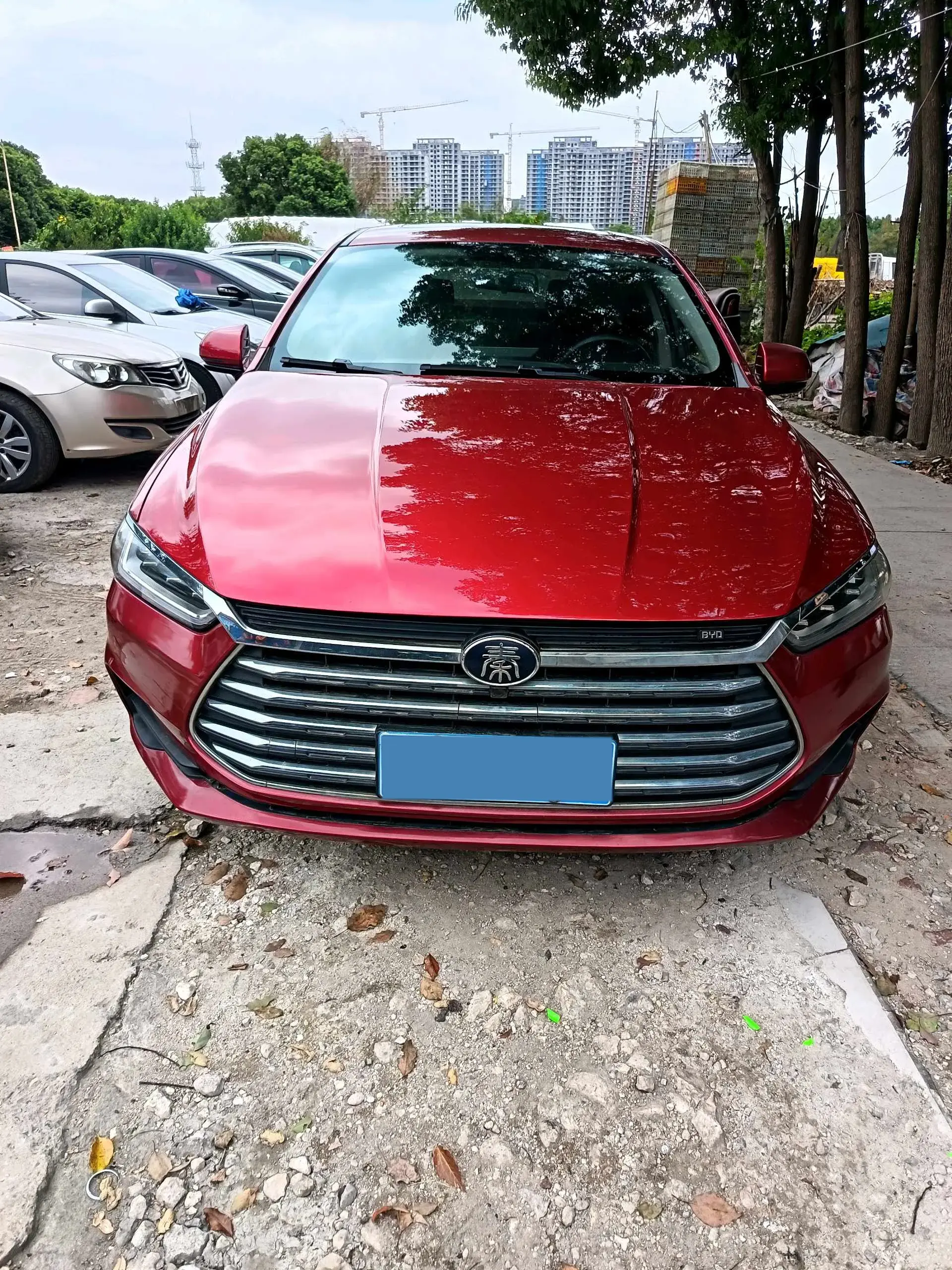 2019 BYD QIN thumbnail 2