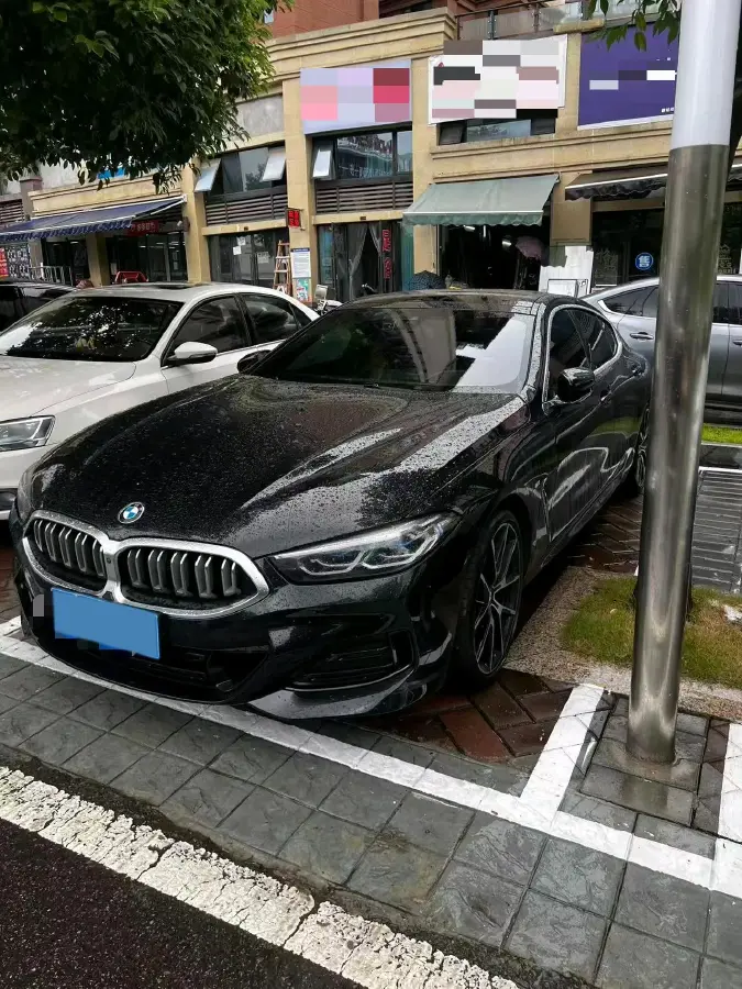 2022 BMW 8 Series 3.0T 333HP L6 8AT