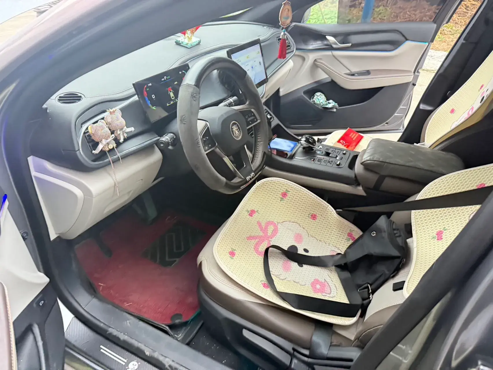 2023 BYD QIN thumbnail 2