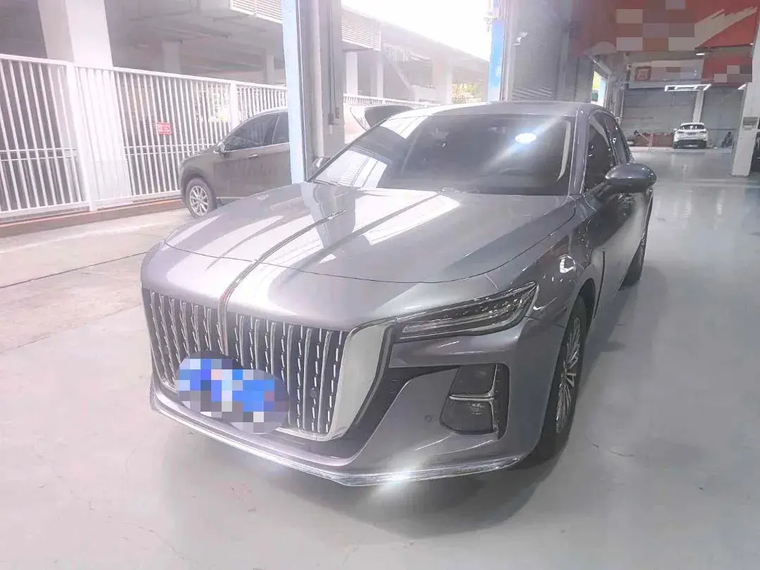2024 HONGQI H5 view 1