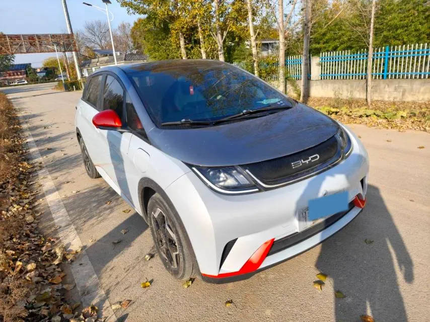 2021 BYD Dolphin BEV 44.9KWH,autocango,china used car exporter,china ev exporter,chinese used car exporter,chinese used ev exporter
