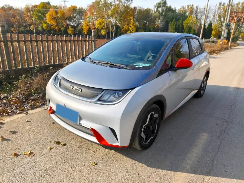 2021 BYD Dolphin BEV 44.9KWH,autocango,china used car exporter,china ev exporter,chinese used car exporter,chinese used ev exporter