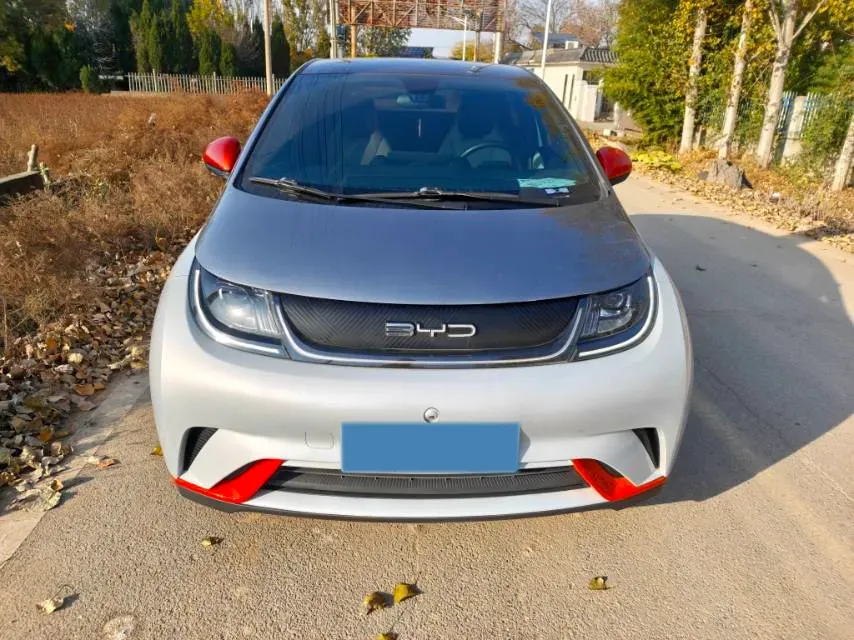 2021 BYD Dolphin BEV 44.9KWH,autocango,china used car exporter,china ev exporter,chinese used car exporter,chinese used ev exporter
