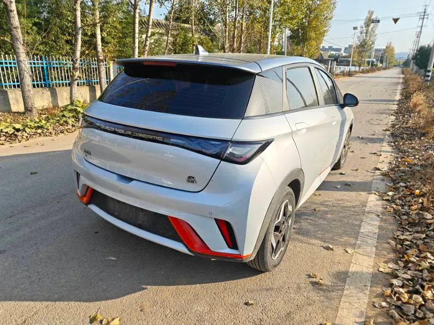2021 BYD Dolphin BEV 44.9KWH,autocango,china used car exporter,china ev exporter,chinese used car exporter,chinese used ev exporter