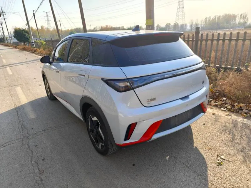 2021 BYD Dolphin BEV 44.9KWH,autocango,china used car exporter,china ev exporter,chinese used car exporter,chinese used ev exporter