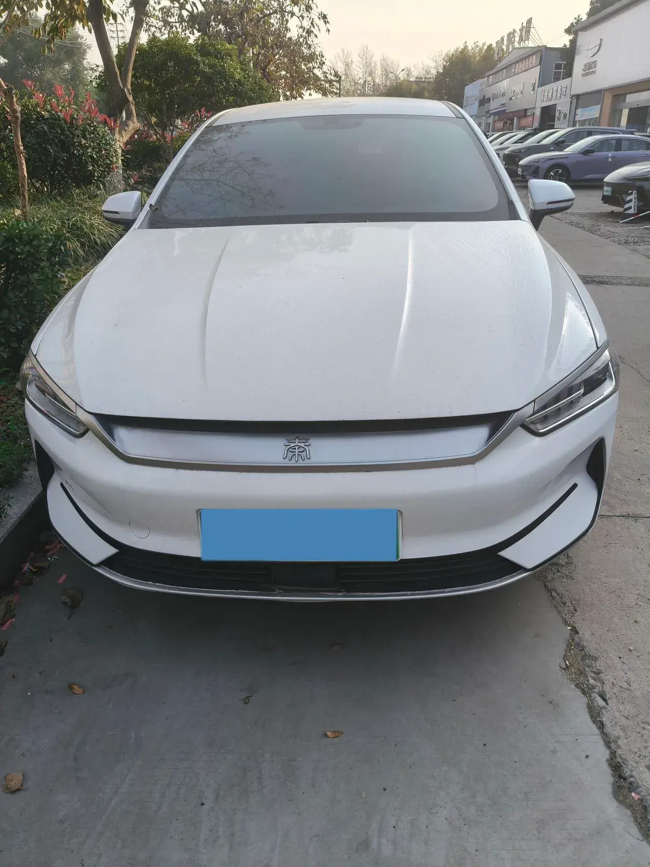 2023 BYD QIN thumbnail 2