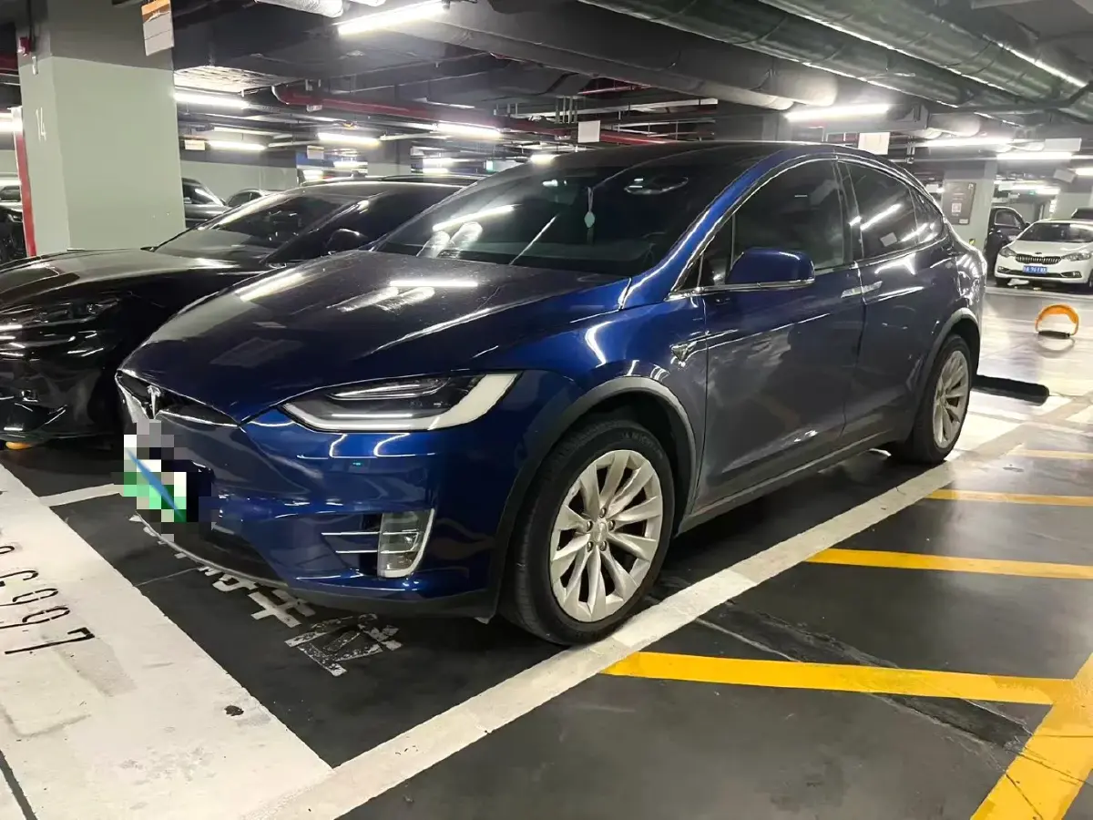 2019 Tesla Model X BEV 100KWH