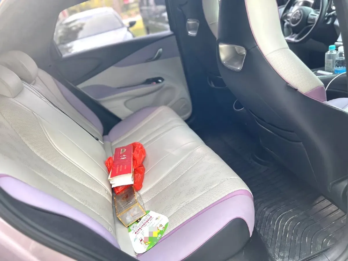 2023 BYD Dolphin BEV 44.928KWH,autocango,china used car exporter,china ev exporter,chinese used car exporter,chinese used ev exporter