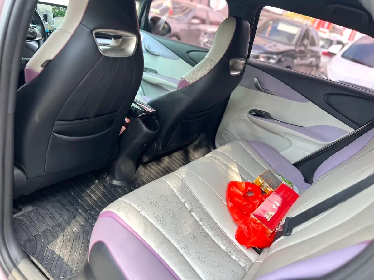 2023 BYD Dolphin BEV 44.928KWH,autocango,china used car exporter,china ev exporter,chinese used car exporter,chinese used ev exporter