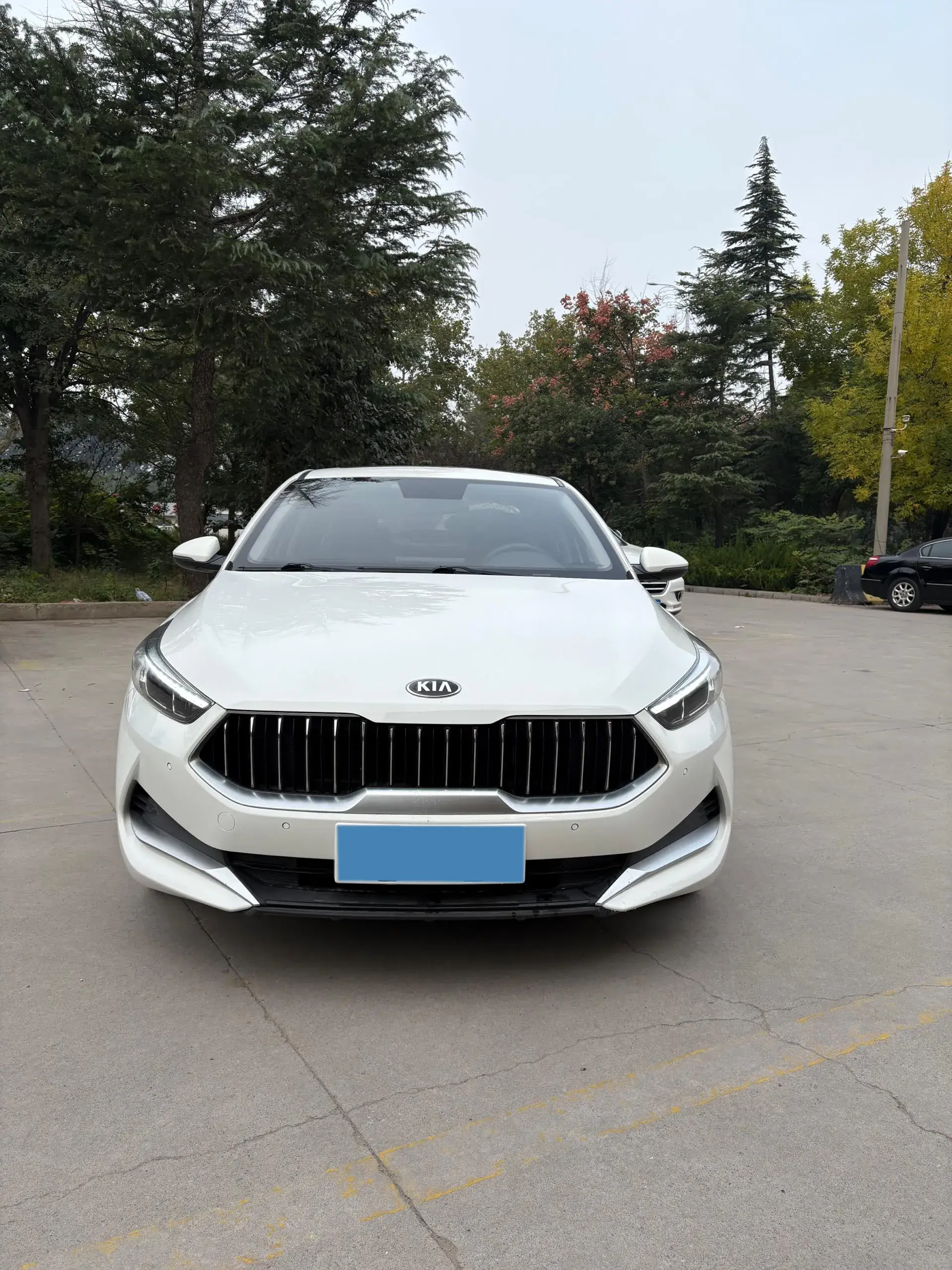 2020 KIA K3 thumbnail 2