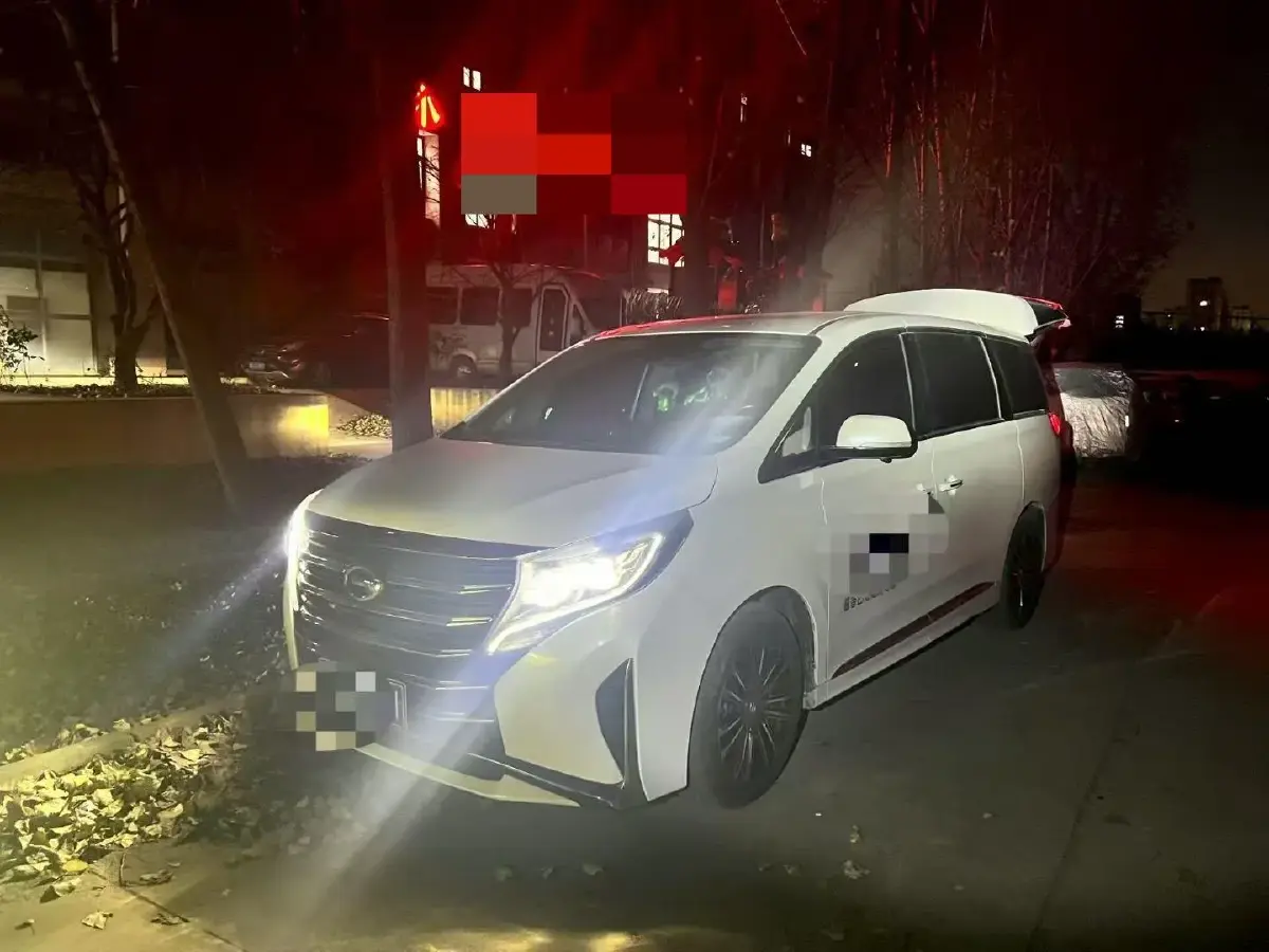 2021 GAC Trumpchi M8 2.0T 252HP L4 8AT