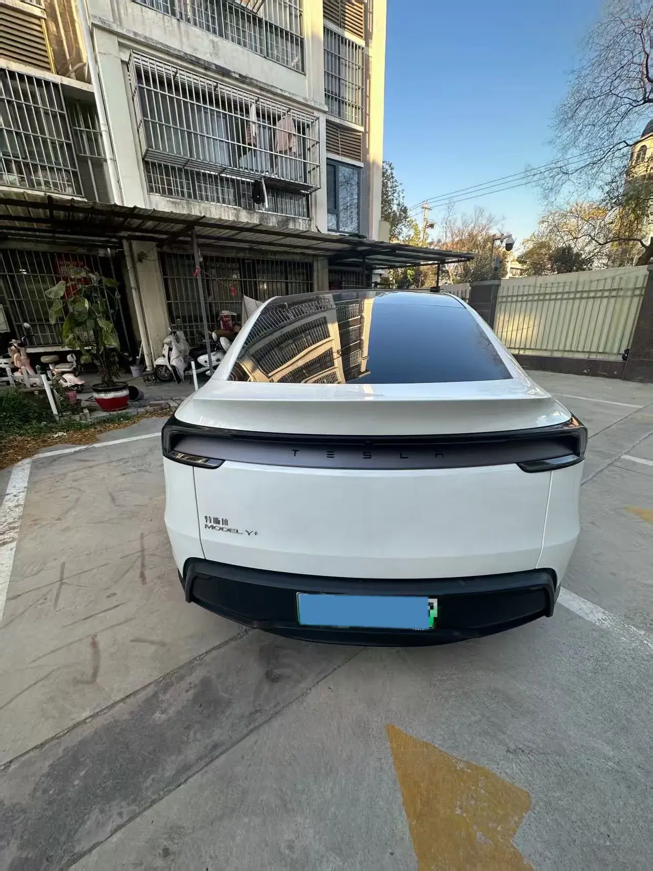 2025 TESLA MODEL thumbnail 2