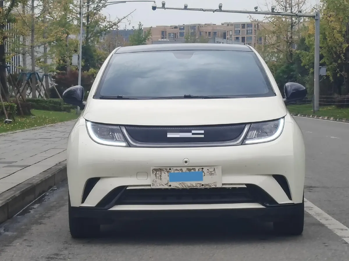 2023 BYD Dolphin BEV 44.928KWH,autocango,china used car exporter,china ev exporter,chinese used car exporter,chinese used ev exporter