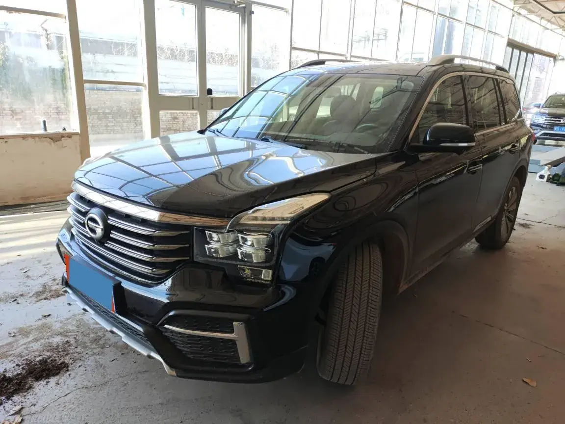 2020 GAC TRUMPCHI thumbnail 2