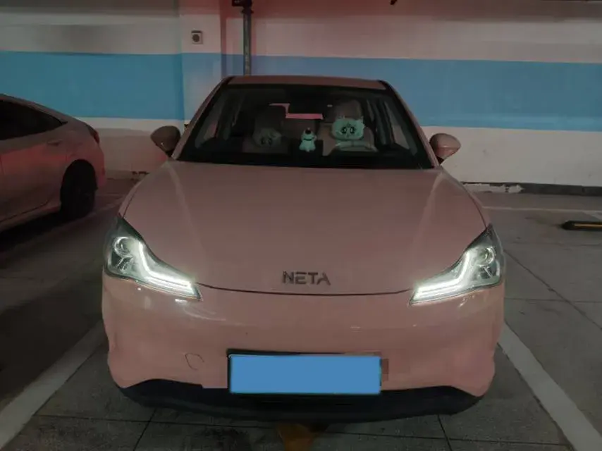 2021 NETA V thumbnail 3