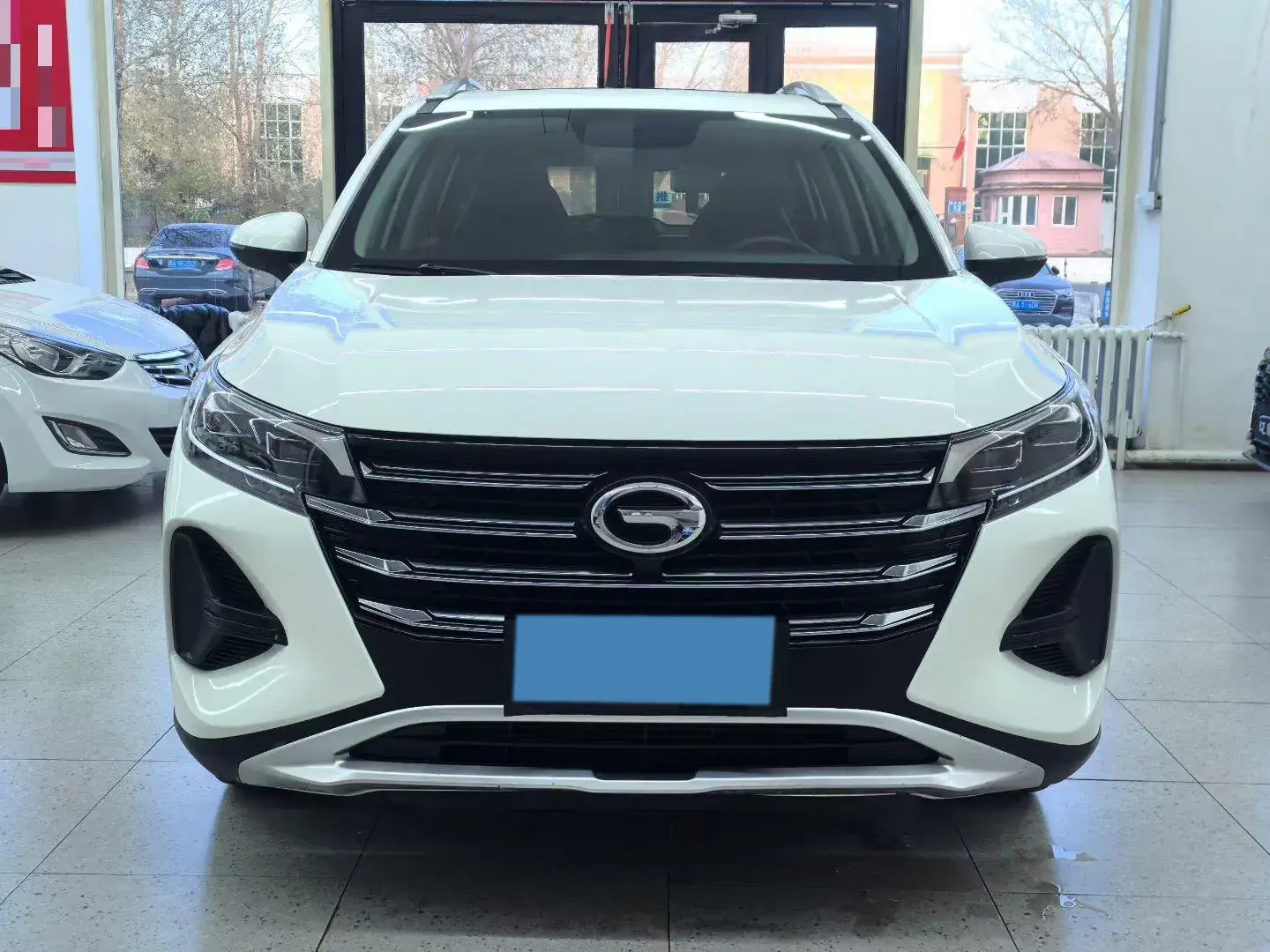 2020 GAC TRUMPCHI thumbnail 2