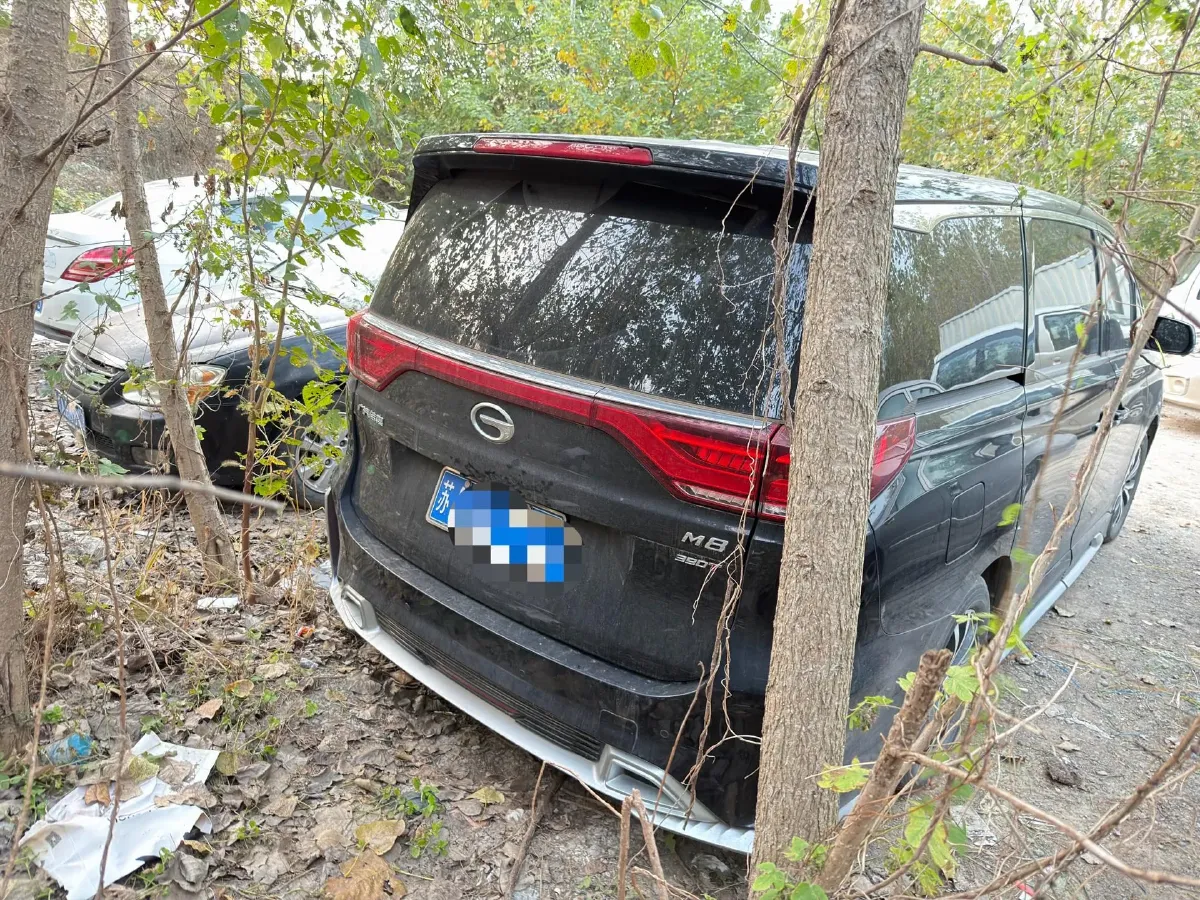 2021 GAC Trumpchi M8 2.0T 252HP L4 8AT,autocango,china used car exporter,china ev exporter,chinese used car exporter,chinese used ev exporter