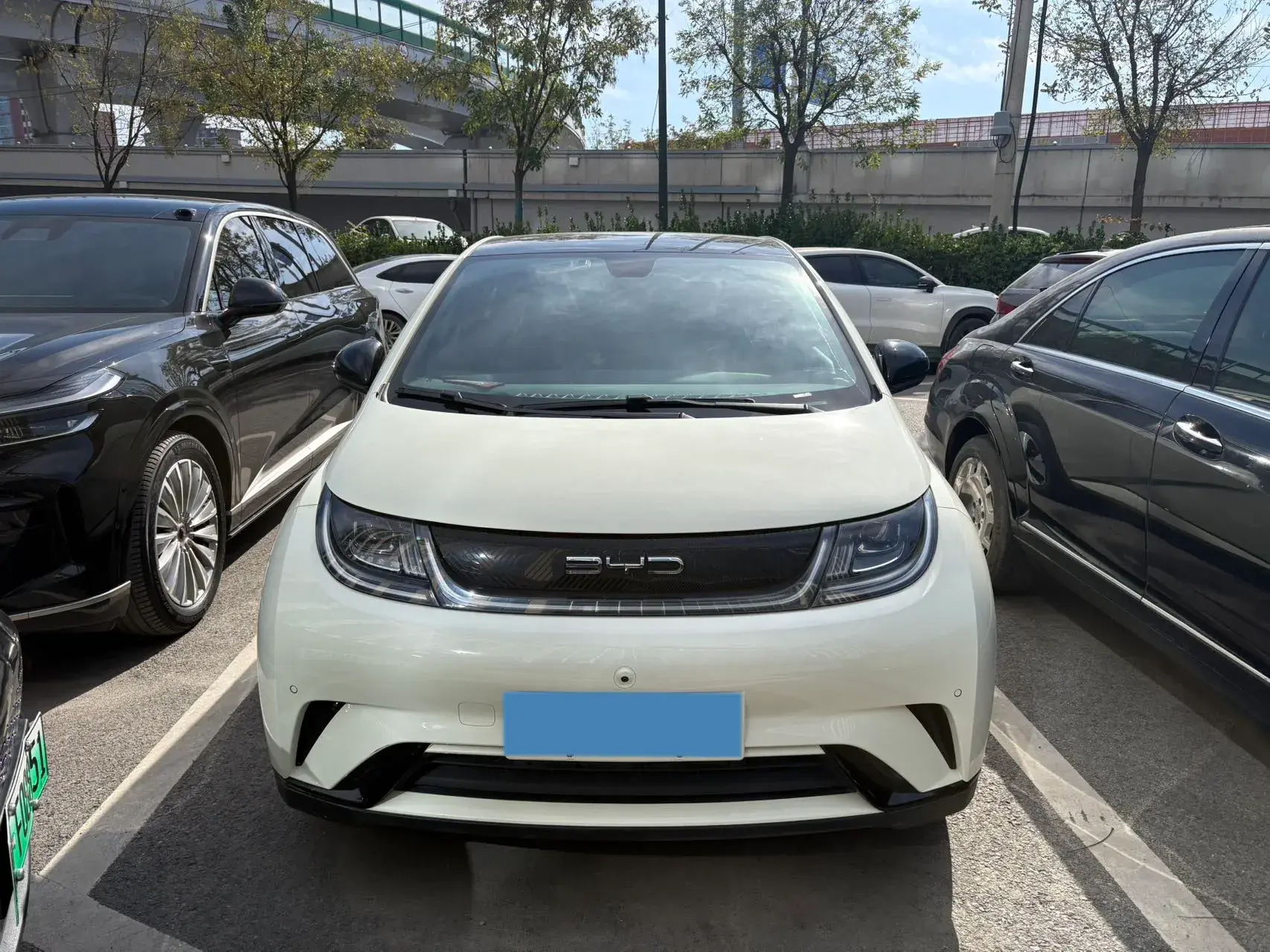 2023 BYD DOLPHIN thumbnail 2