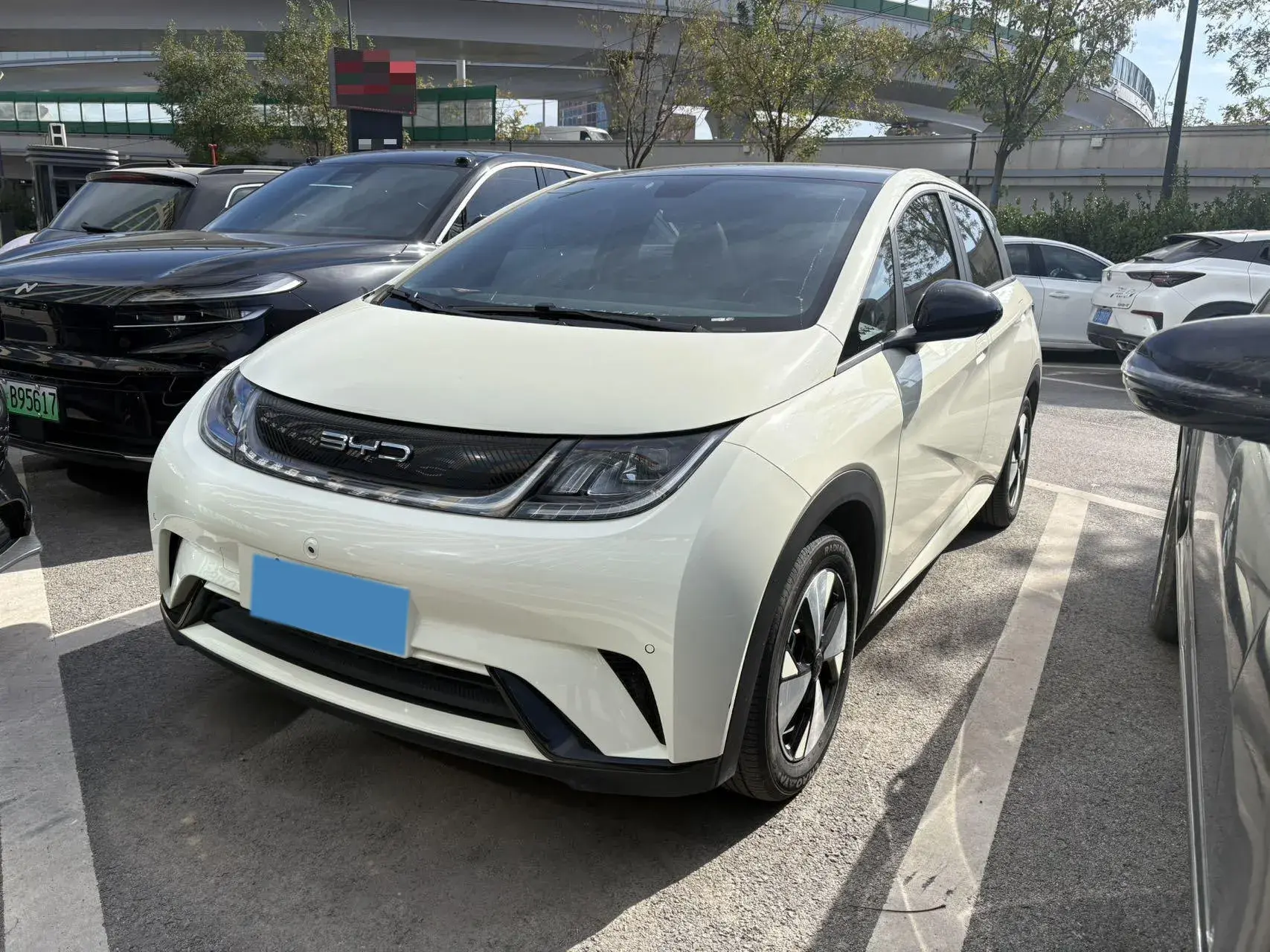 2023 BYD DOLPHIN view 1