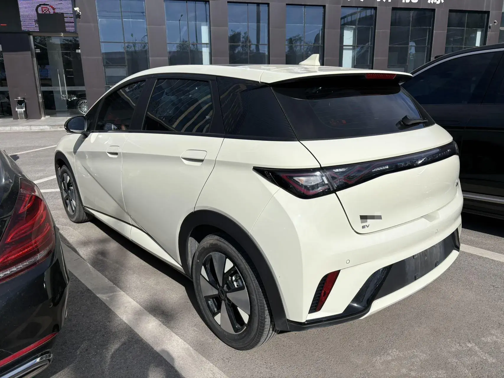 2023 BYD DOLPHIN thumbnail 3