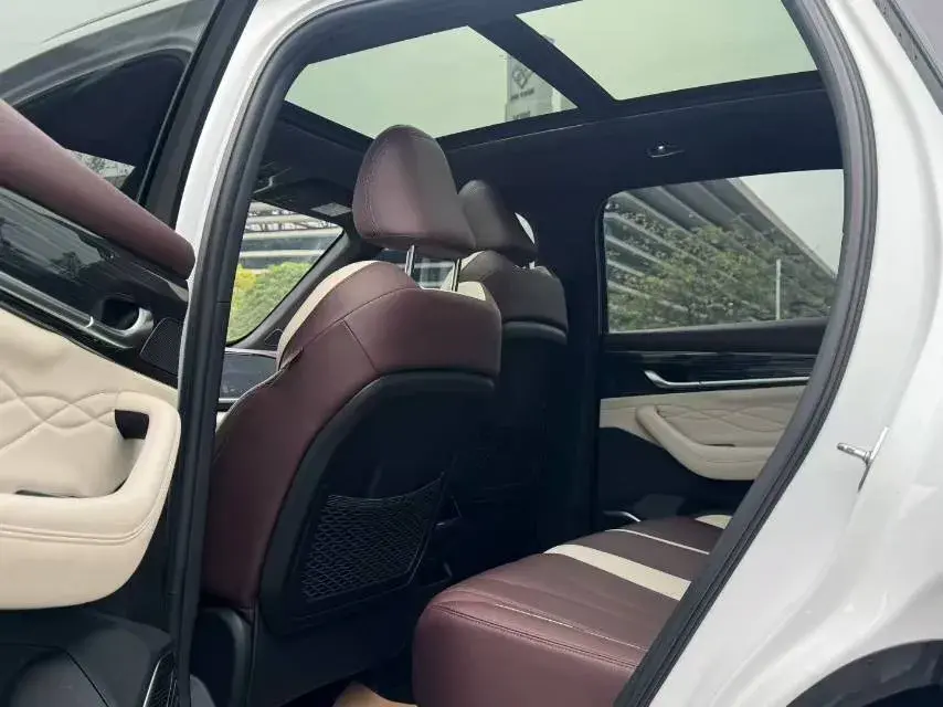 2021 GEELY MONJARO thumbnail 4