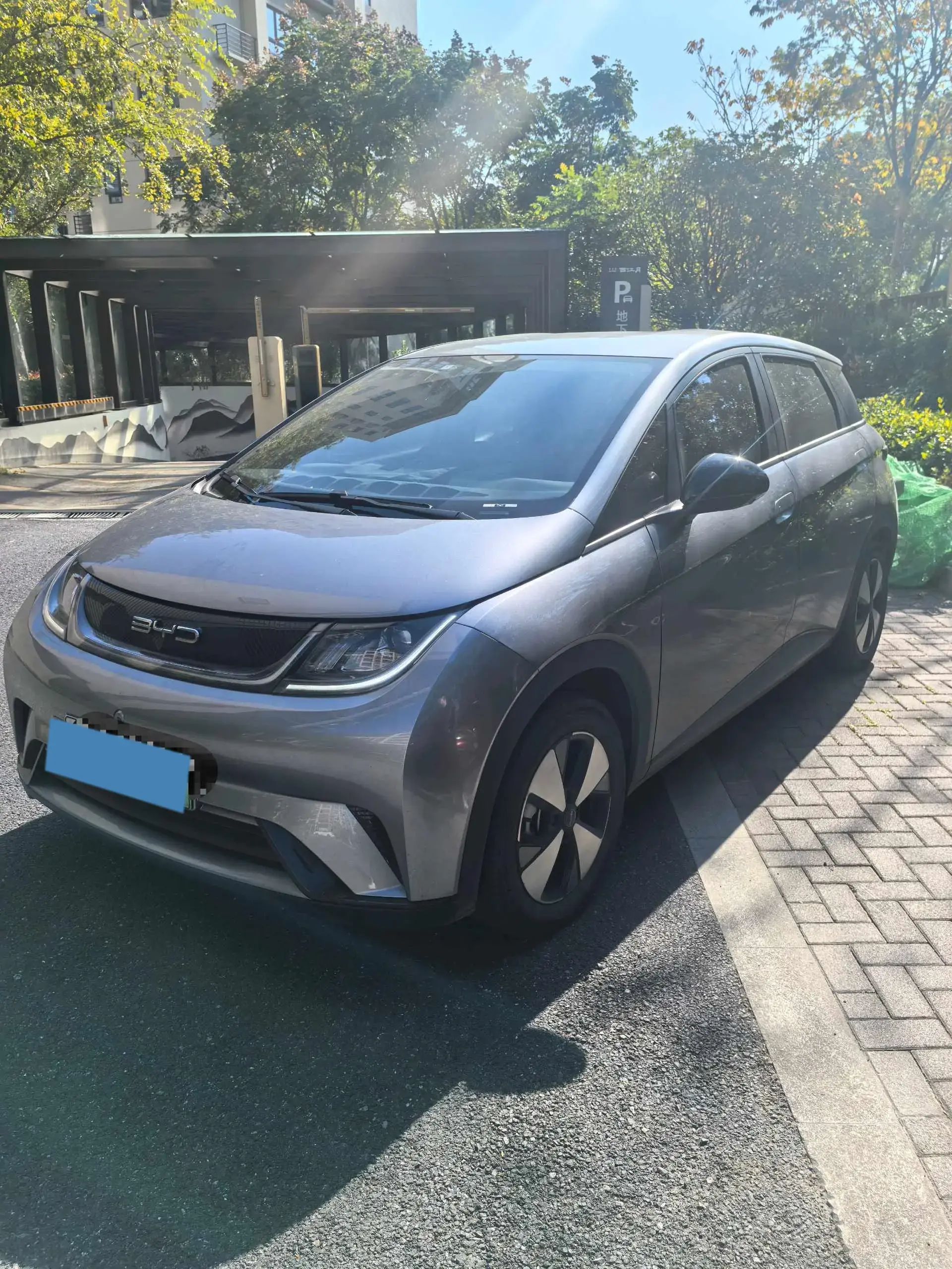 2023 BYD DOLPHIN view 1